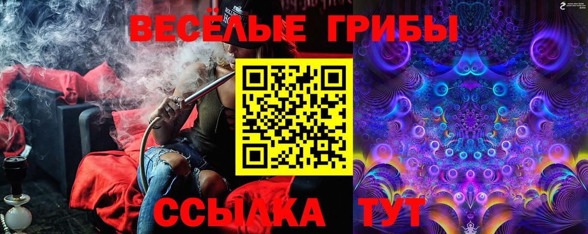 Киселёвск  даркнет сайт  Вход с VPN  Псилоцибиновые грибы ЛСД 